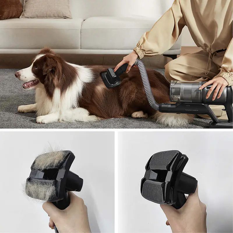 ����� Pet Deshedding �� Dreame Z30 ����� ����� ���� ����