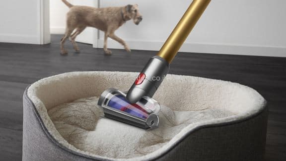 ‏שואב אבק עומד Dyson V12 Detect Slim Absolute | יבואן רשמי