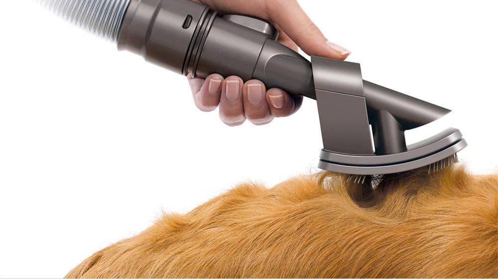 מברשת סירוק/אביזר לכלבים DYSON דגם GROOM יבואן רשמי |  משלוח מהיר