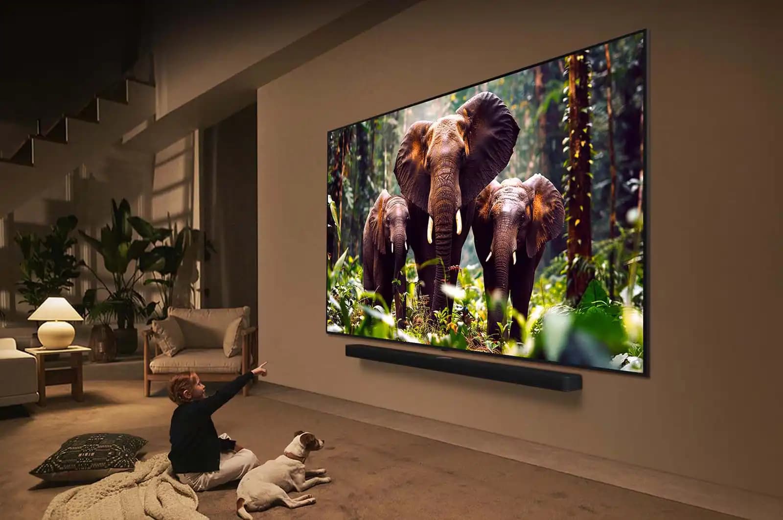 LG 86QNED86A6A – טלוויזיה חכמה 86 אינץ' QNED evo AI MiniLED 4K 120Hz | יבואן רשמי