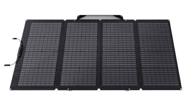 בנדל EcoFlow DELTA 2 Black E980 + פאנל סולארי 220W – גיבוי חשמל וטעינה סולארית | יבואן רשמי