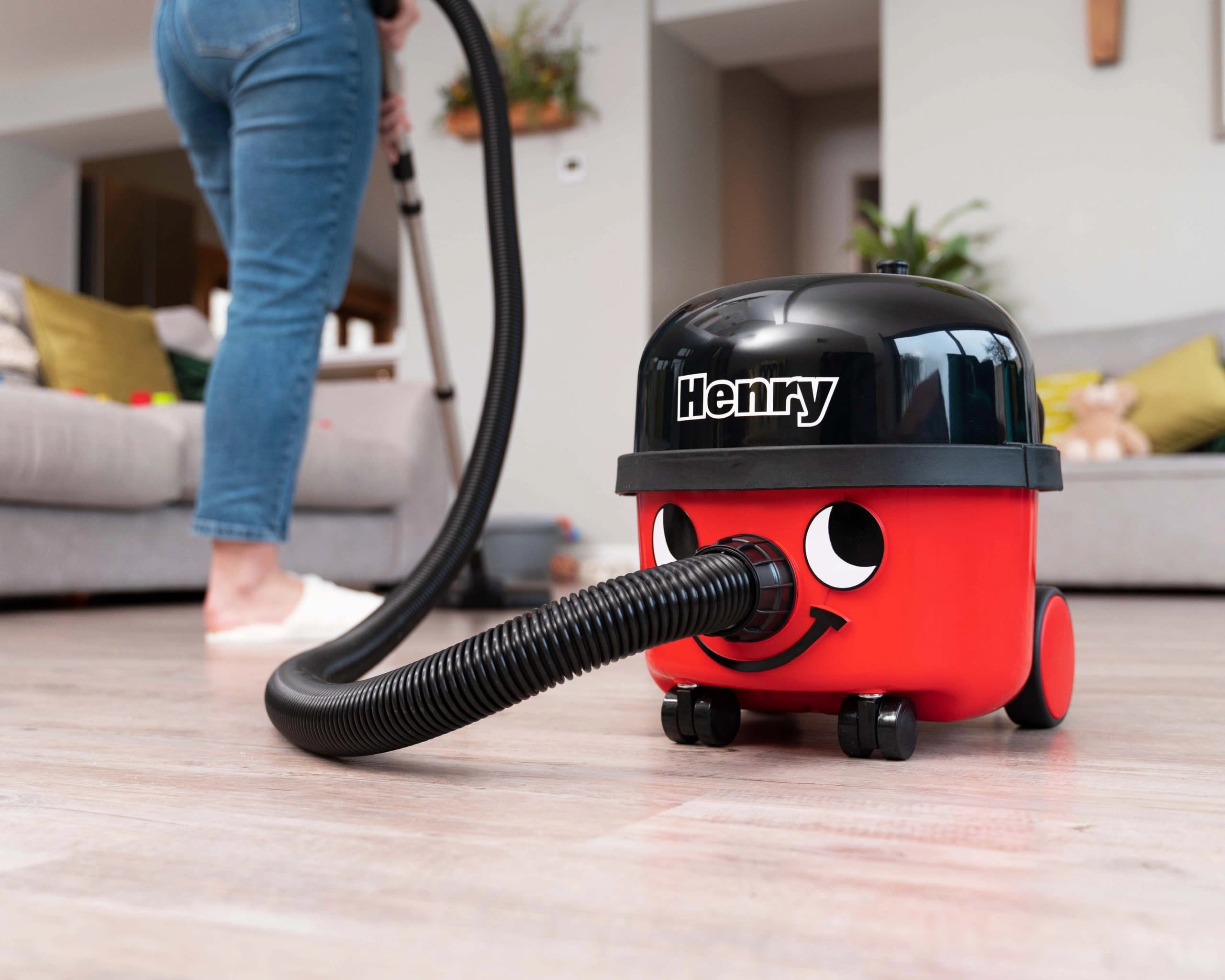Henry - שואב אבק רב-תכליתי 6 ליטר עם כבל 10 מ׳ | יבואן רשמי