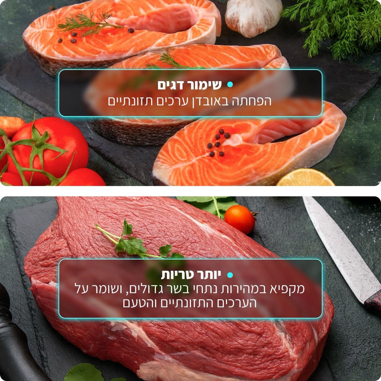 CHIQ MC-2353SL - מקרר 2 דלתות מקפיא עליון 348 ליטר בצבע נירוסטה | יבואן רשמי