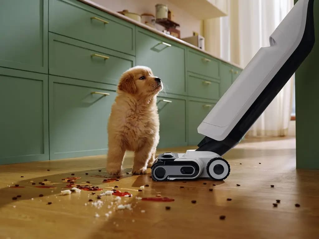 ROBOROCK FLEXI PRO - שואב שוטף אלחוטי לניקוי רטוב ויבש | יבואן רשמי