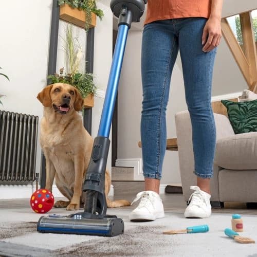 HENRY QUICK PET BLUE - שואב אבק אלחוטי נטען עם ריקון היגייני לבתים עם חיות מחמד | יבואן רשמי