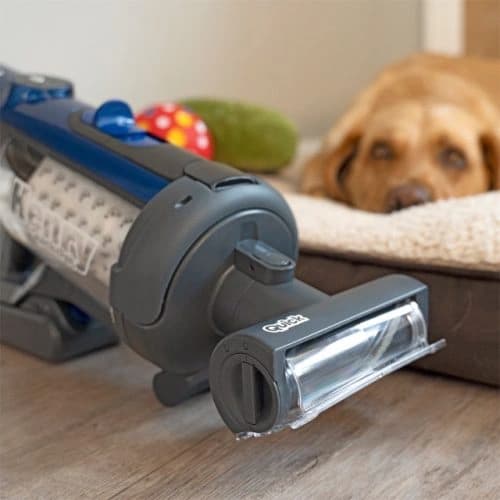 HENRY QUICK PET BLUE - שואב אבק אלחוטי נטען עם ריקון היגייני לבתים עם חיות מחמד | יבואן רשמי