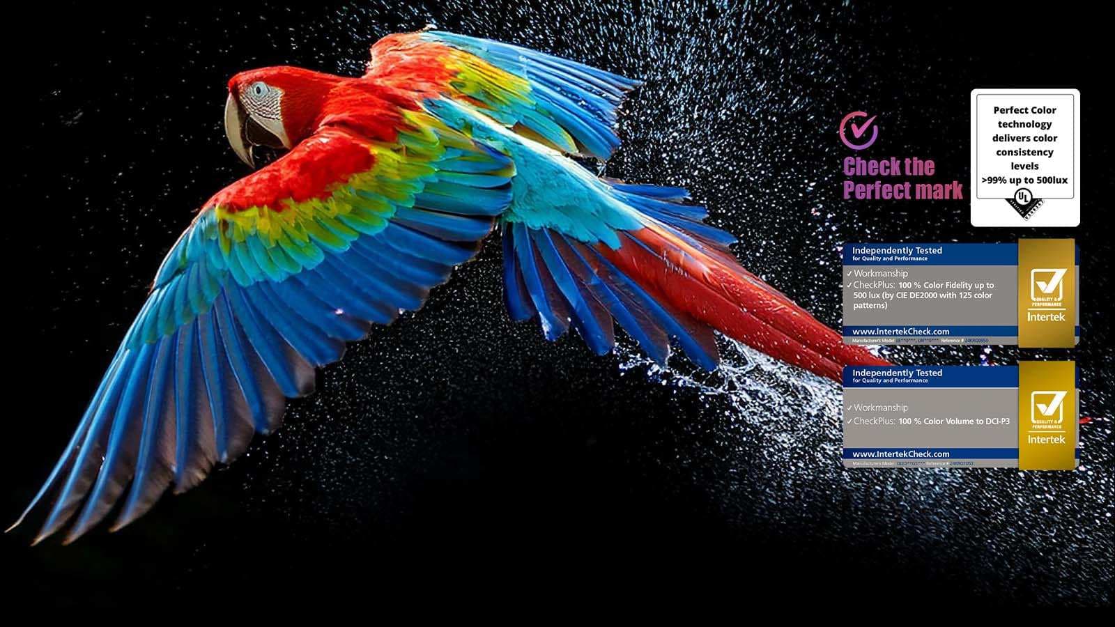 טלוויזיה חכמה LG OLED evo AI C5 OLED55C56LA ‏55 אינץ' 4K 144Hz | דגם 2025 - יבואן רשמי