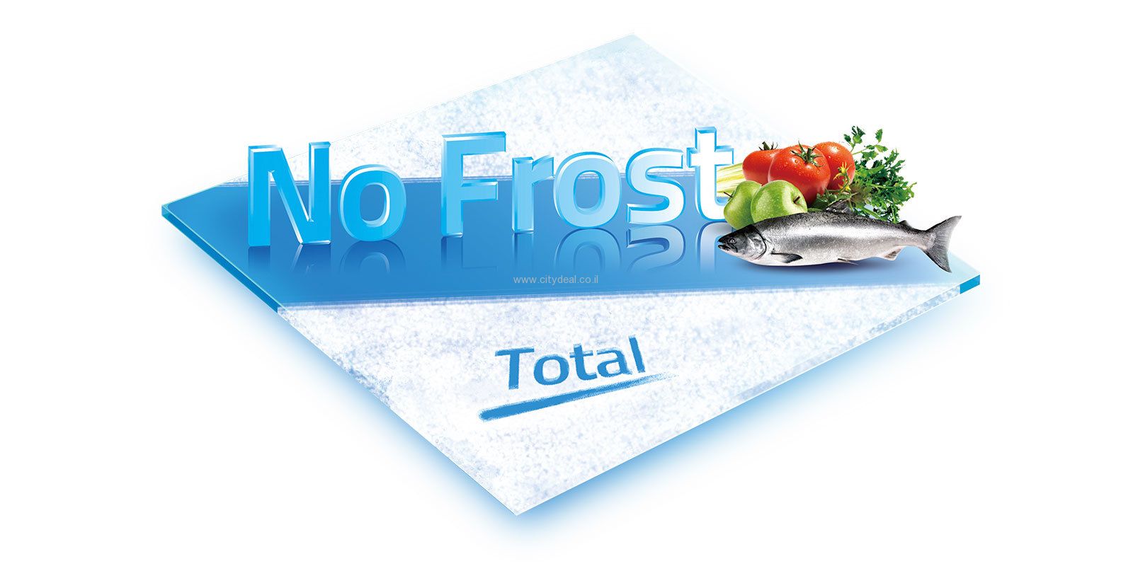 ���� ����� ����� Hisense ��� RT102  