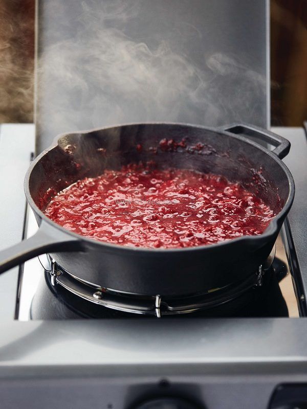 ���� ��� Napoleon ��� FREESTYLE 425SB ����� ���� !