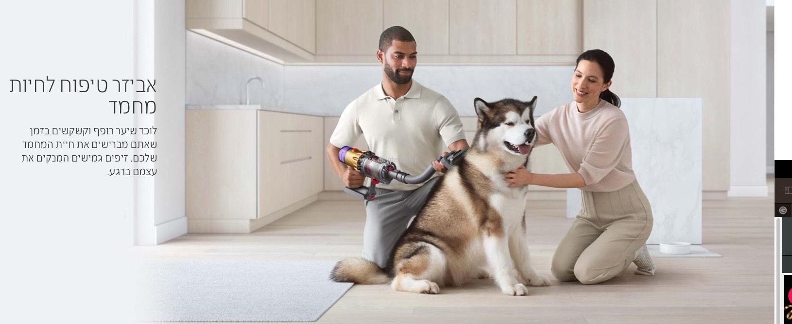  ���� ������� dyson ����� ����� ����