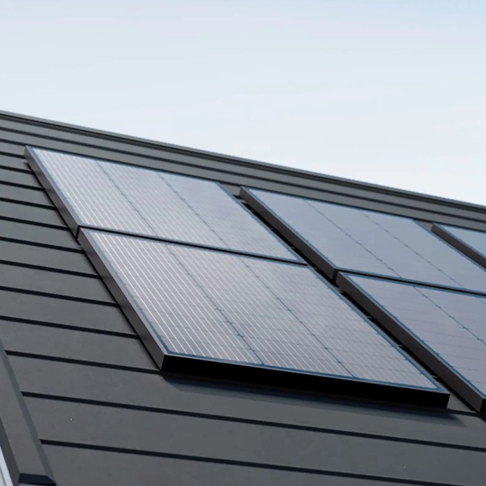 �� 2 ������ �������� ������ ������ ECOFLOW 100W