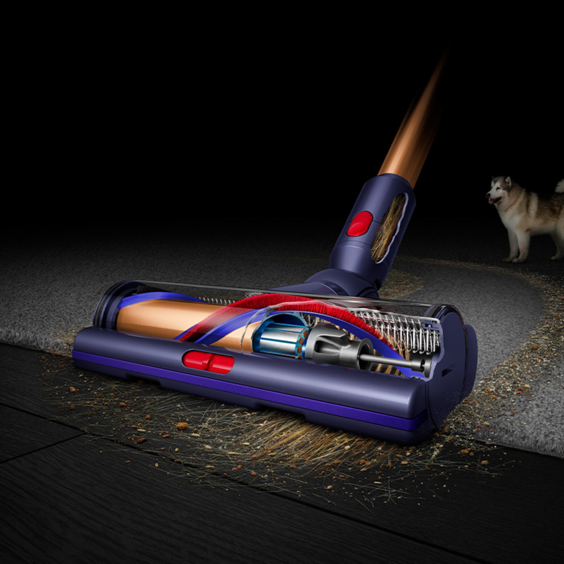 ���� ��� ������ ���� Dyson ��� Gen5Detect Absolute ����� ����