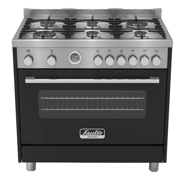 ���� ����� ������ Sauter ��� PRO5000NE ����� ����