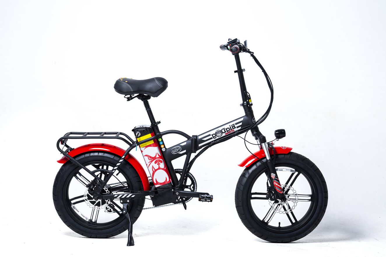 ������� ������� ������� GreenBike ��� Big Dog Extreme ����� ���� - 48V/15AH