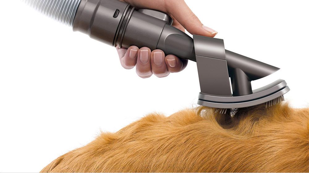 ����� �����/����� ������ DYSON ��� GROOM ����� ����