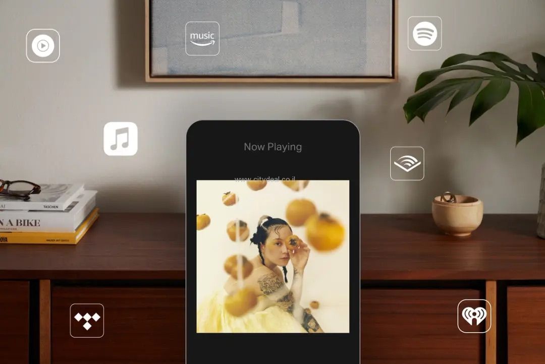 ����� ��� SONOS ��� Era 300-w ����� ����