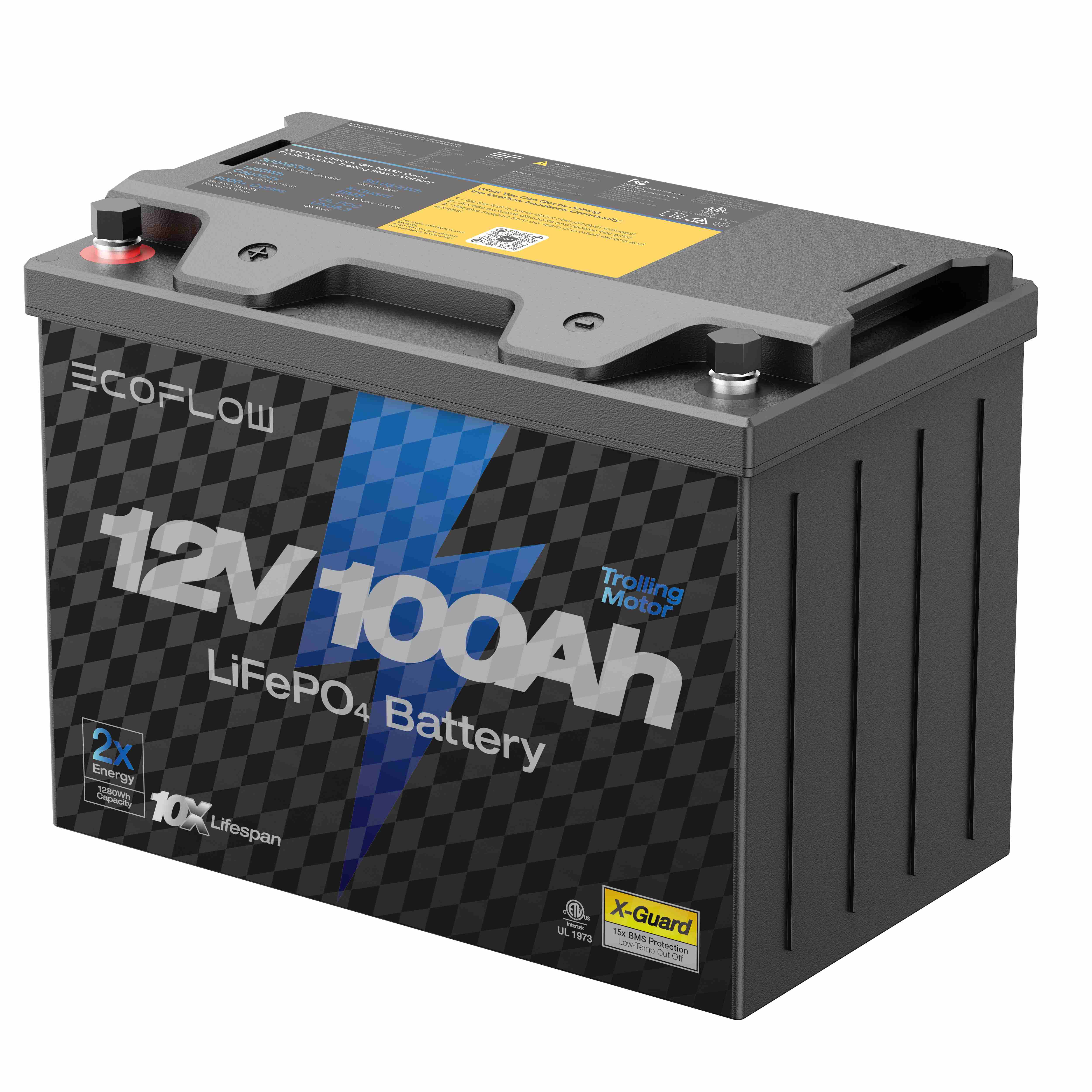 ���� ������ ECOFLOW LIFEPO4 12V 100Ah - ����� ����