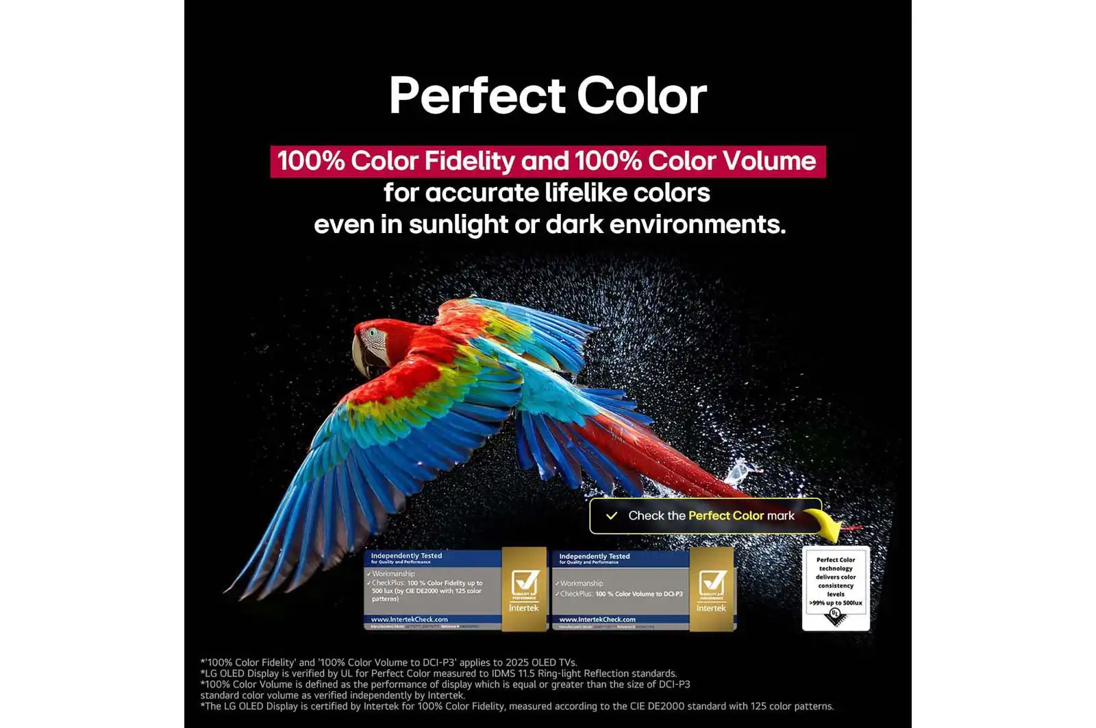 LG OLED65C56LA � �������� ���� 65 ���� OLED evo 4K 2025 | ����� ����