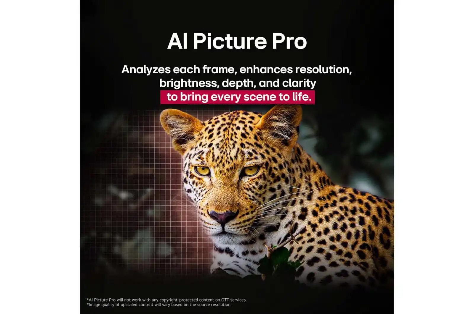 LG OLED48C56LA � �������� ���� 48 ���� OLED evo 4K 2025 | ����� ����