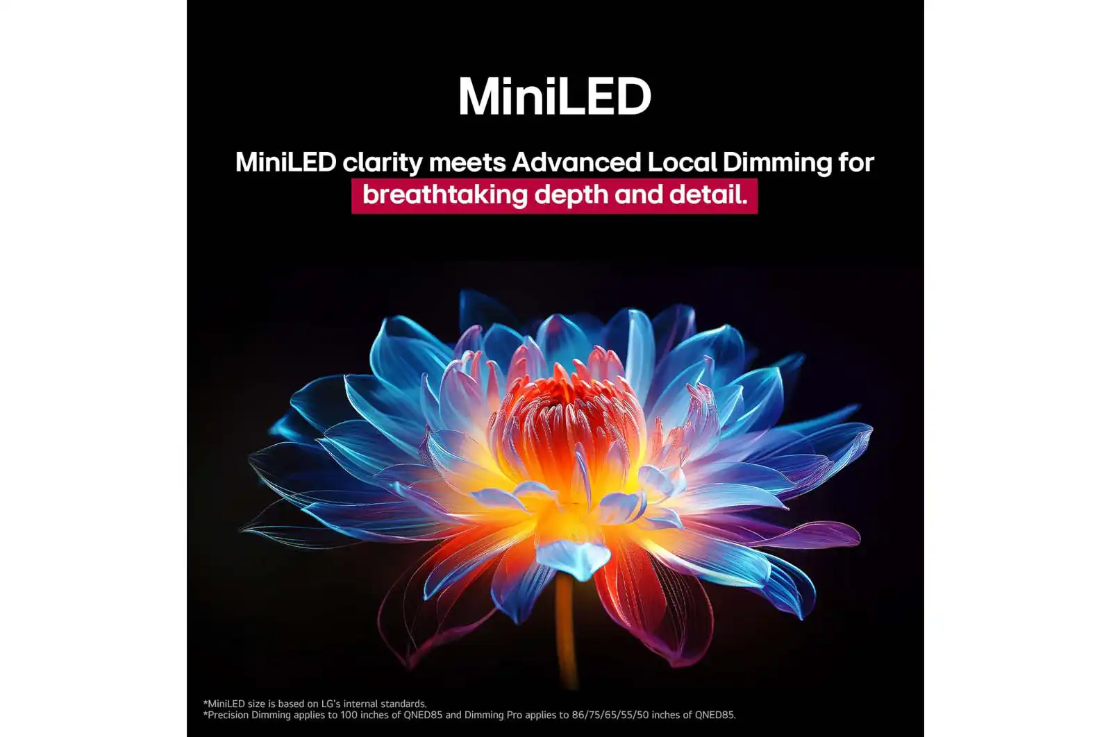 LG 100QNED86A6A � �������� ���� 100 ���� QNED evo AI MiniLED 4K 120Hz | ����� ����
