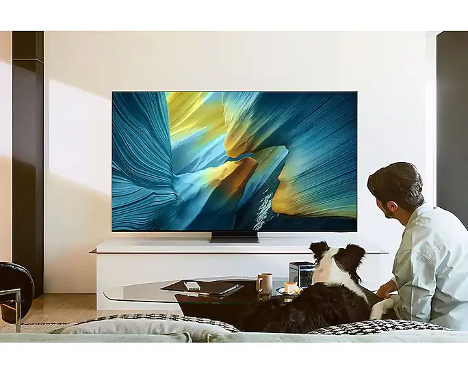 Samsung QE77S95F - �������� ���� 77 ���� OLED 4K S95F | ����� ���� ������ �����