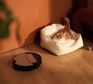 ROBOROCK SAROS Z70 - ���� ��� ������ �� ���� ����� ����� ����� ����� - ��� ���� | ����� ����