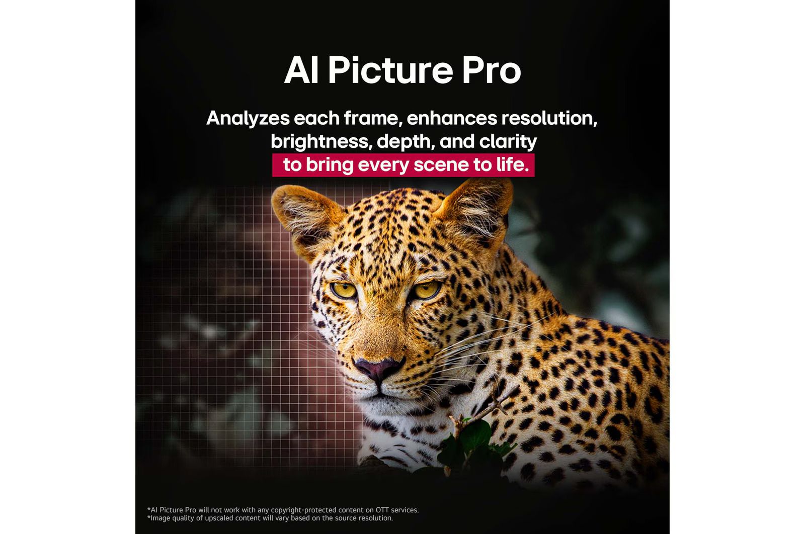 AI Picture Pro בטלוויזיה LG OLED65CS5VA לשיפור תמונה באמצעות בינה מלאכותית