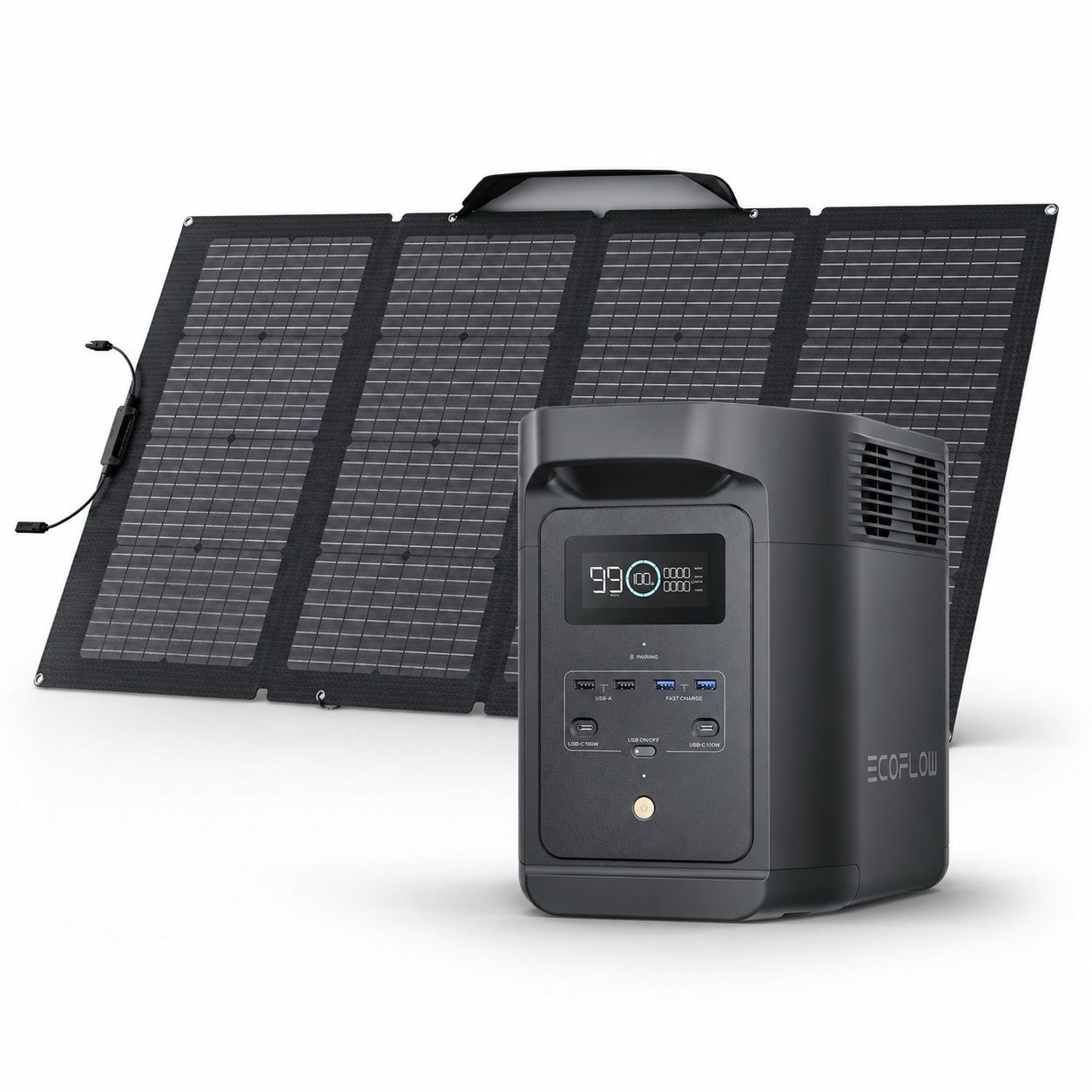 ���� EcoFlow DELTA 2 Black E980 + ���� ������ 220W � ����� ���� ������ ������� | ����� ����