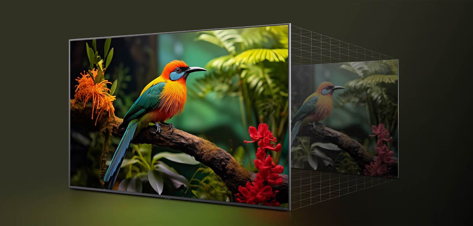 LG 65QNED82A6A - �������� ���� 65 ���� QNED 4K �� ���� ?7 AI Gen8 ������ webOS 25 �������� ����� | ����� ����