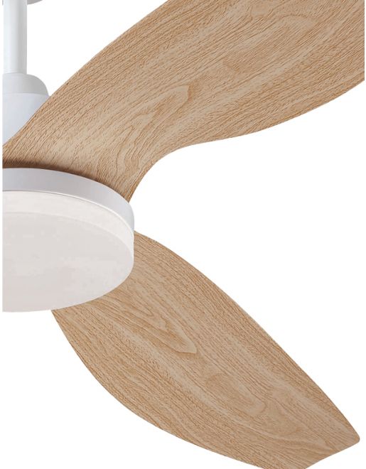 ������ ���� WESTINGHOUSE Magnolia 52" CCT ���������� ��� �� ���� DC ���, ����� ���� ����� ��� ����� ����