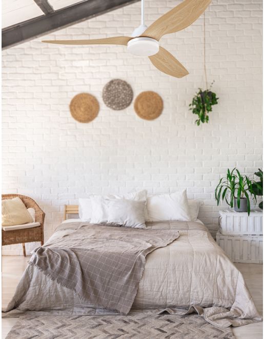 ������ ���� WESTINGHOUSE Magnolia 52" CCT ���������� ��� �� ���� DC ���, ����� ���� ����� ��� ����� ����