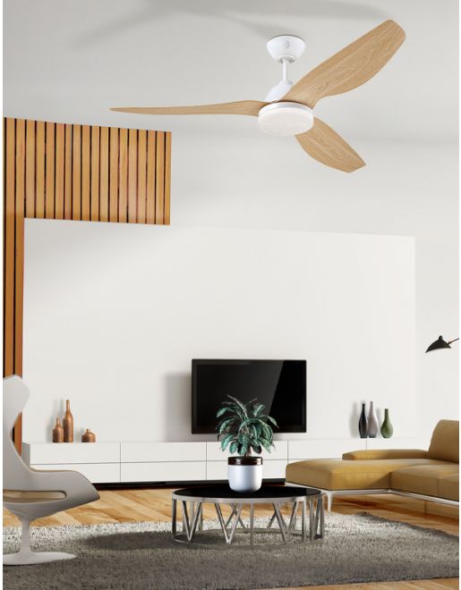 ������ ���� WESTINGHOUSE Magnolia 52" CCT ���������� ��� �� ���� DC ���, ����� ���� ����� ��� ����� ����