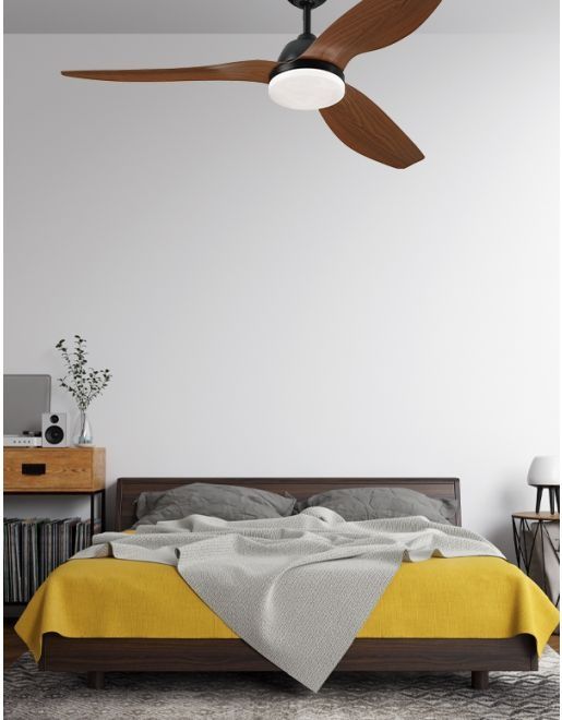 ������ ���� WESTINGHOUSE Magnolia 52" CCT ���������� ���� �� ���� DC ���, ����� ���� ����� ��� ����� ����