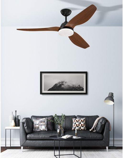 ������ ���� WESTINGHOUSE Magnolia 52" CCT ���������� ���� �� ���� DC ���, ����� ���� ����� ��� ����� ����