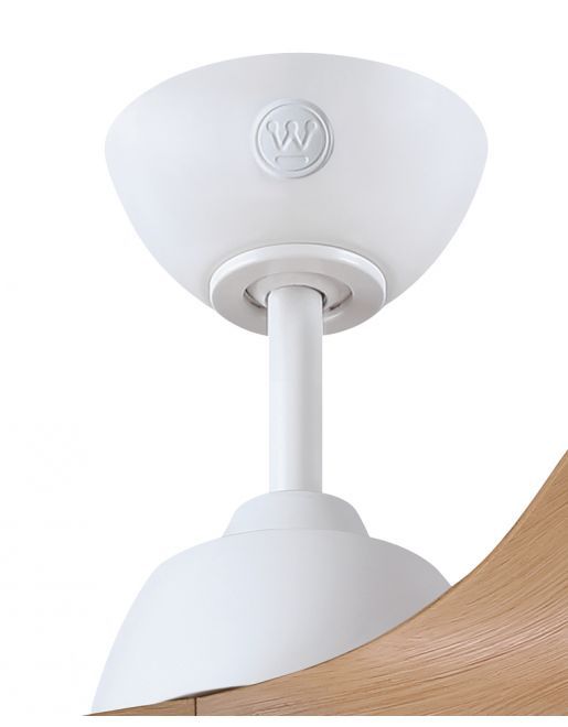 ������ ���� WESTINGHOUSE ERICA ����� 42 ���� ���� ���, ����� �� ����� DC ���������� ����� ����