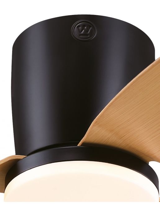 ������ ���� 48 ���� WESTINGHOUSE CARLA ���� ���� ���� ���� ���� DC, ��� ������ ���������� ����� ����