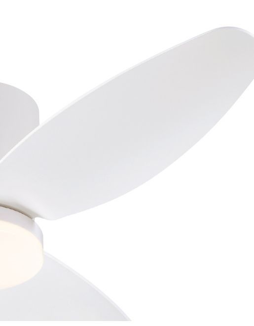 ������ ���� ��� WESTINGHOUSE CARLA 48" WiFi ���������� ���� ���� ���� ��� ������ �� ����� ����
