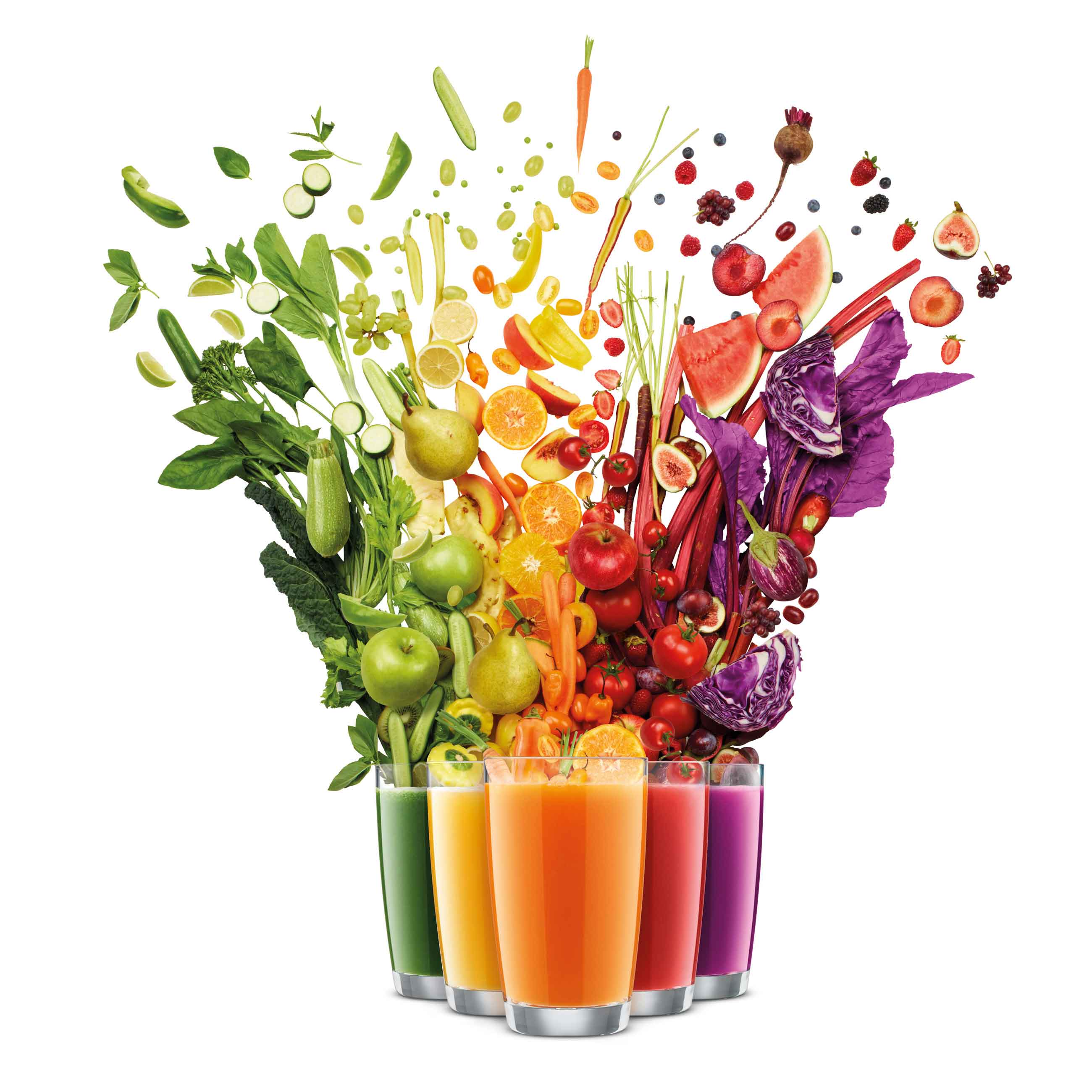 Breville BJE830BTR � ����� ����� ������� ����� ����� ��������