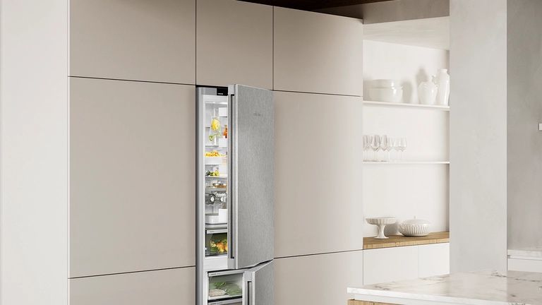 פנים המקרר Liebherr CBNSFC 5223 עם חמישה מדפי זכוכית ותא BioFresh