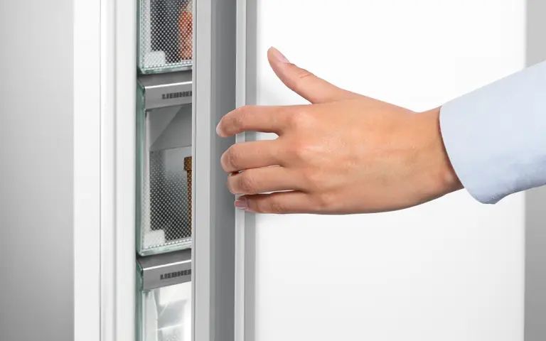 Liebherr FNe 4204 - ����� 4 ������ ��� ����� �� NoFrost ���� ��� ����� ������ | ����� ����