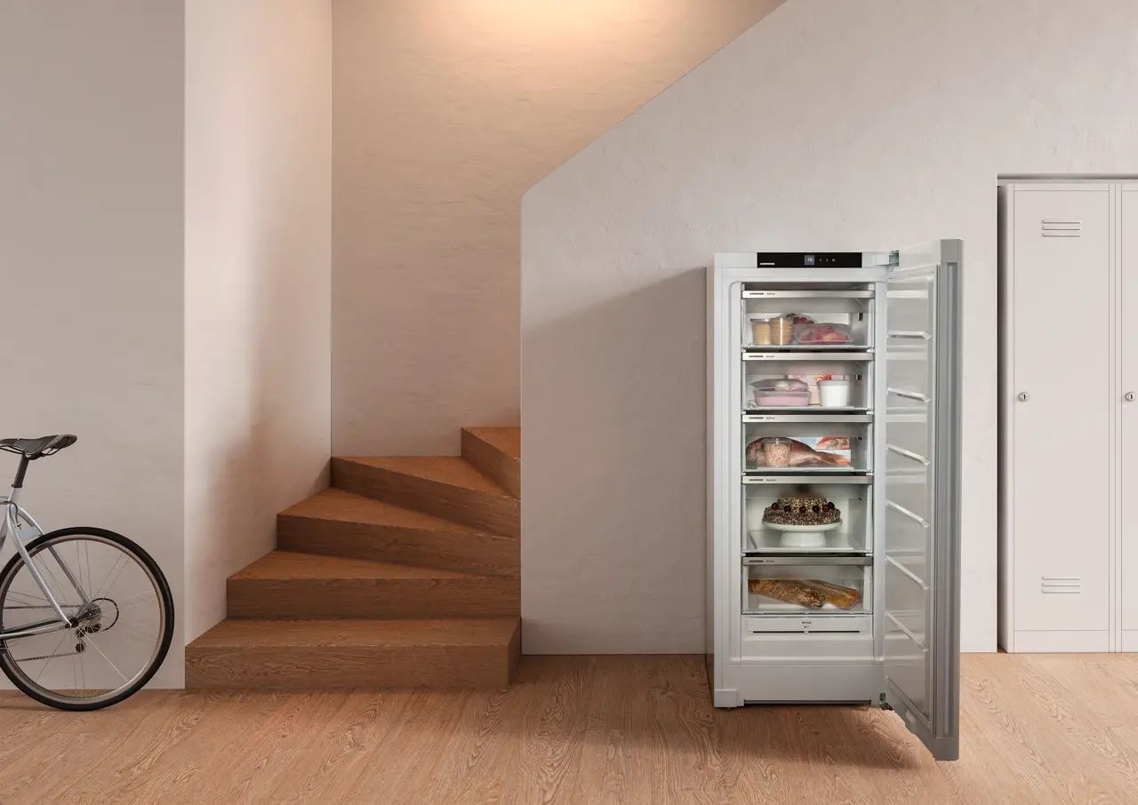 Liebherr FNe 4605 - ����� 5 ������ ����� NoFrost ����� ������ ���� ��� ��� ��� ����� | ����� ����