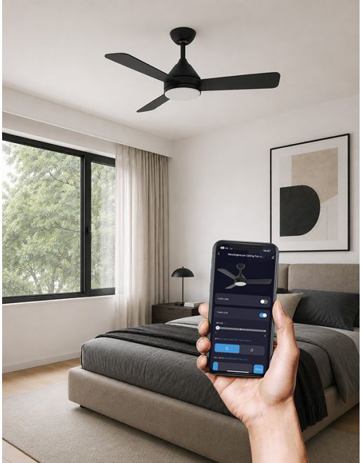 ������ ���� ��� NORTHER YOUNG 42 WiFi �� ���� DC ��� ������ �� �� ����� - ����� ����