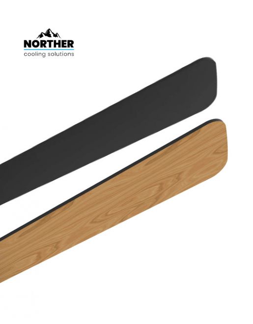 ������ ���� NORTHER YOUNG 42 ����� ���� �� ���� ���, ����� �� ���� ������ ����� ��� ����� ����
