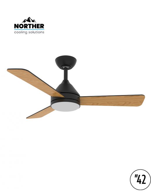 ������ ���� NORTHER YOUNG 42 ����� ���� �� ���� ���, ����� �� ���� ������ ����� ��� ����� ����