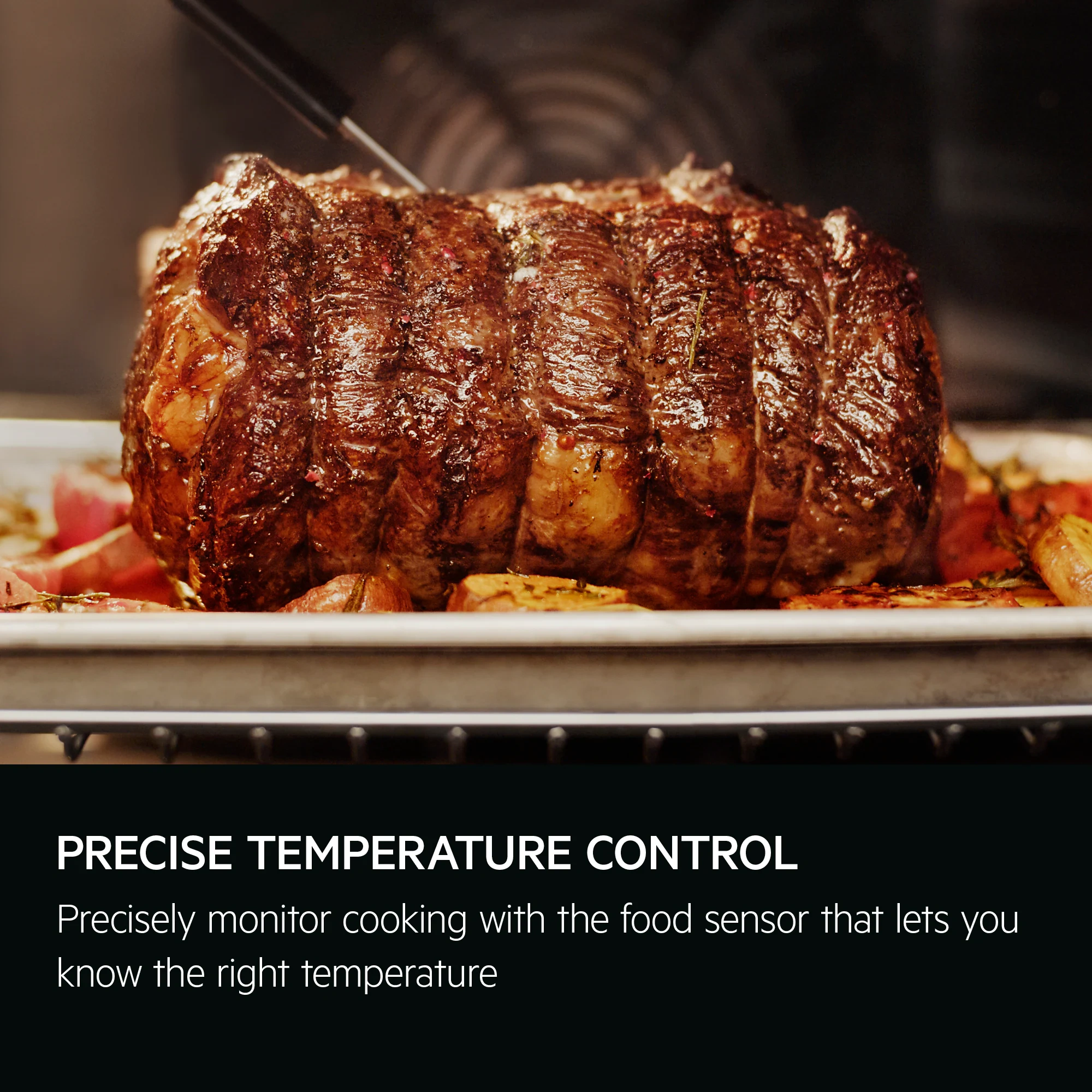Food Probe Technology