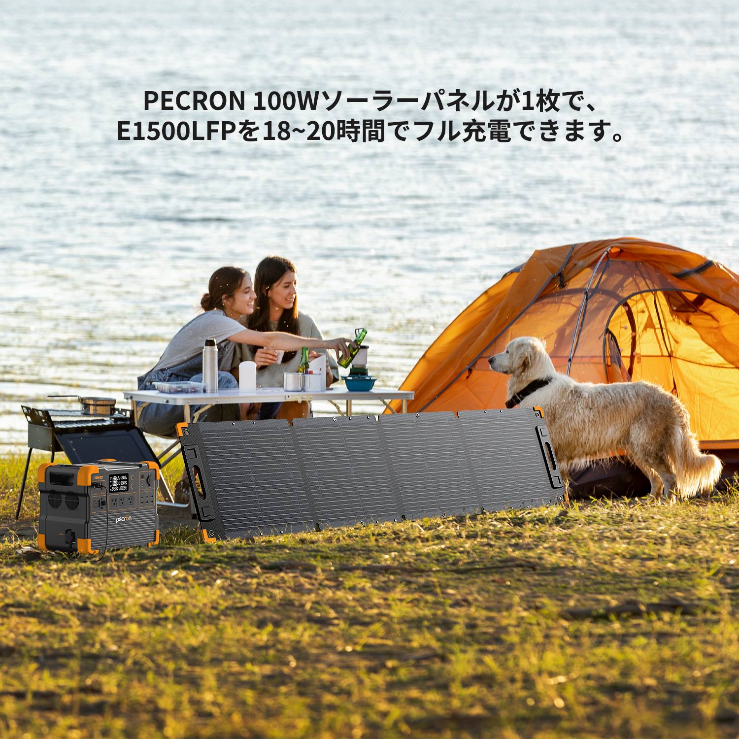 PECRON 100W PCLL-YT100W � ���� ������ ����� IP67 ������� ������ | ����� ����
