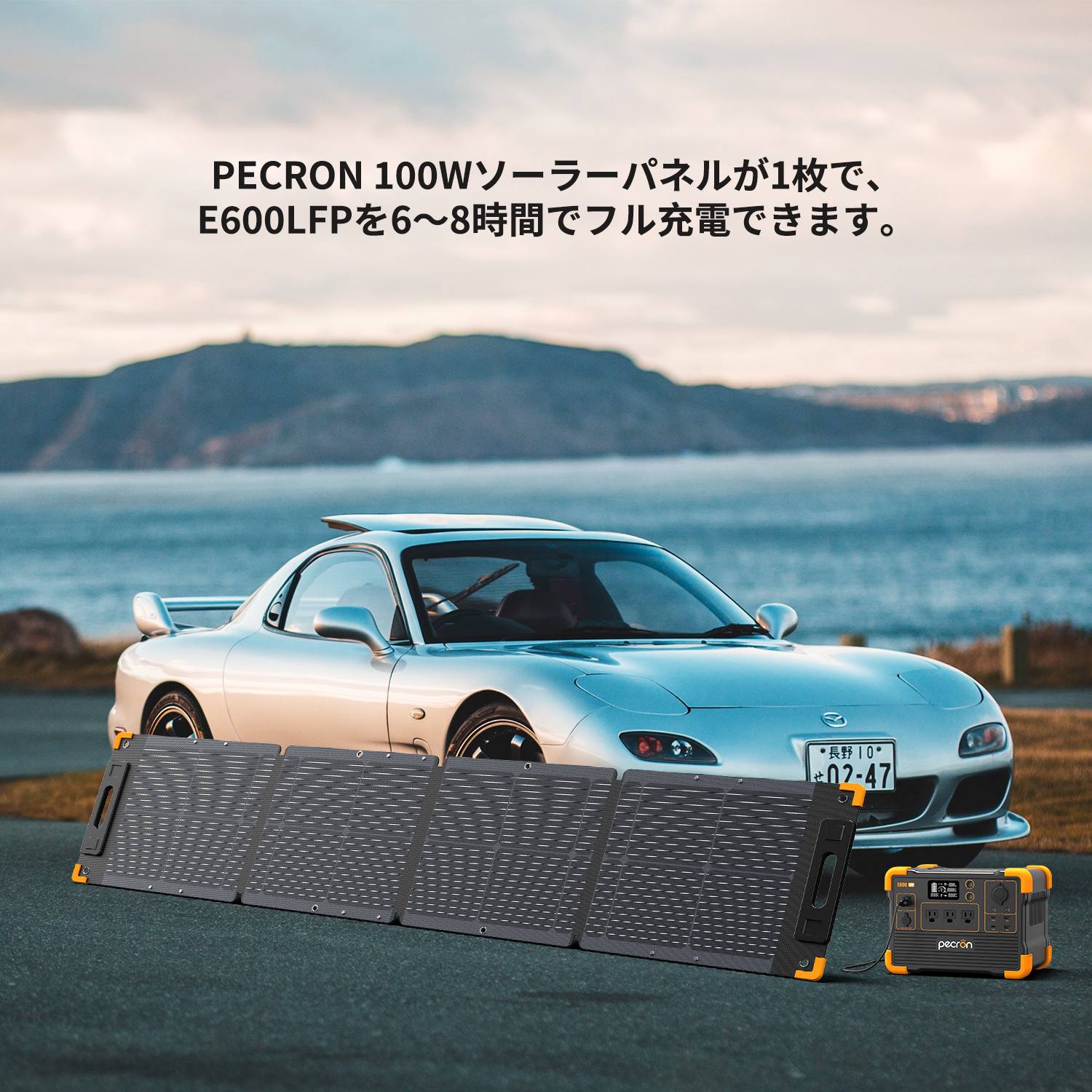 PECRON 100W PCLL-YT100W � ���� ������ ����� IP67 ������� ������ | ����� ����