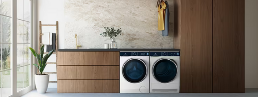 ������ �����