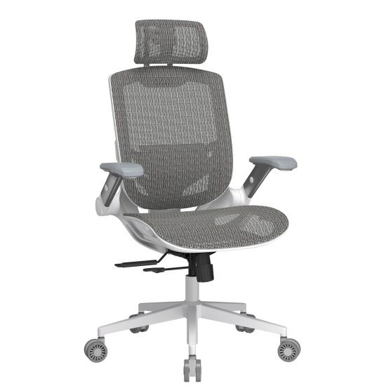 ���� ������� Speeder One Black ���� �������� ��������� ����� ���� �� ���� �� �� ��� ������ ���� - ����� ����