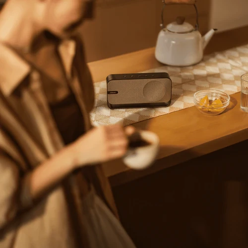 Bose SoundLink Home - ����� ������ ������ ������� ���� ���� ��� �� ��� | ����� ����